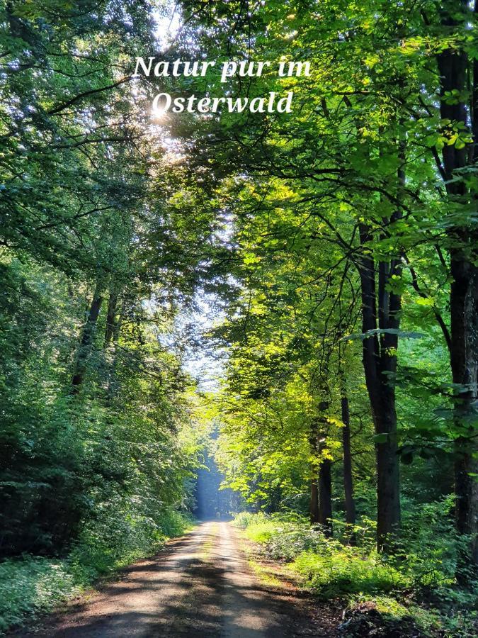 Kansteinblick Weserbergland Salzhemmendorf Buitenkant foto
